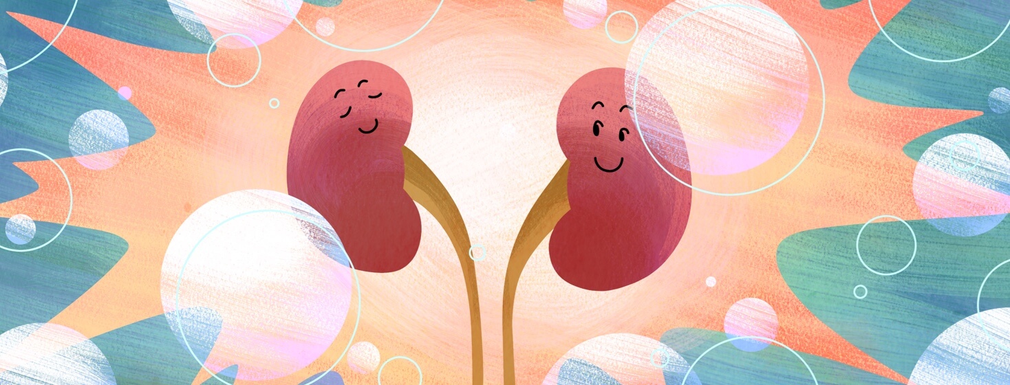 Two well managed kidneys with happy expressions.