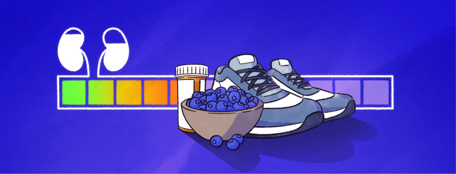 A loading bar depicting kidney disease with several objects representing healthy habits blocking further progression.