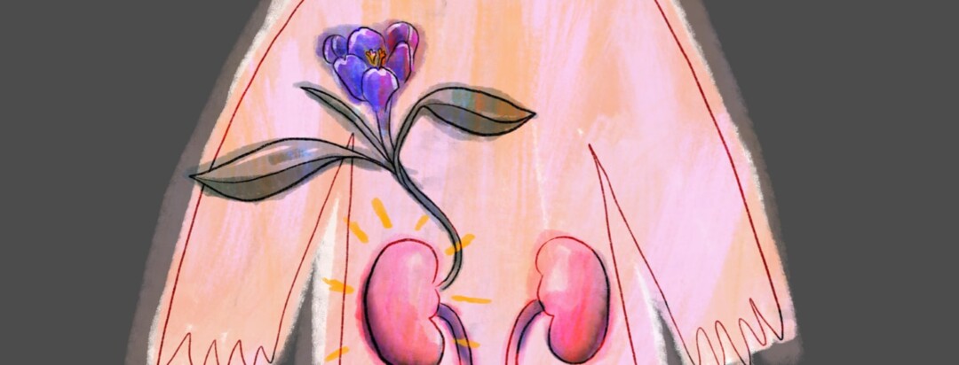 A person's abdomen is shown with two kidneys. One of the kidneys has a beautiful flower sprouting from it and thriving.