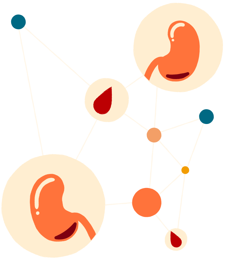 Bubbles with kidneys and blood droplets with lines connecting them together