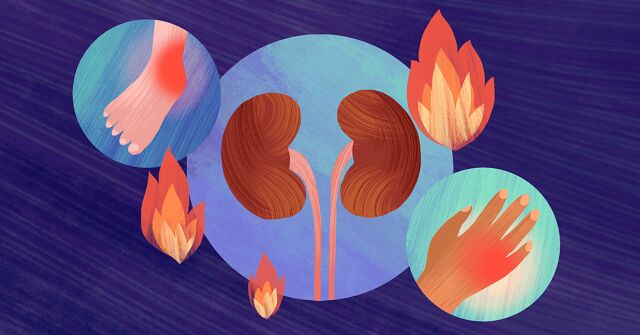 Circular vignettes hold an image of kidneys, a foot with ankle pain and a hand with joint pain surrounded by flames.