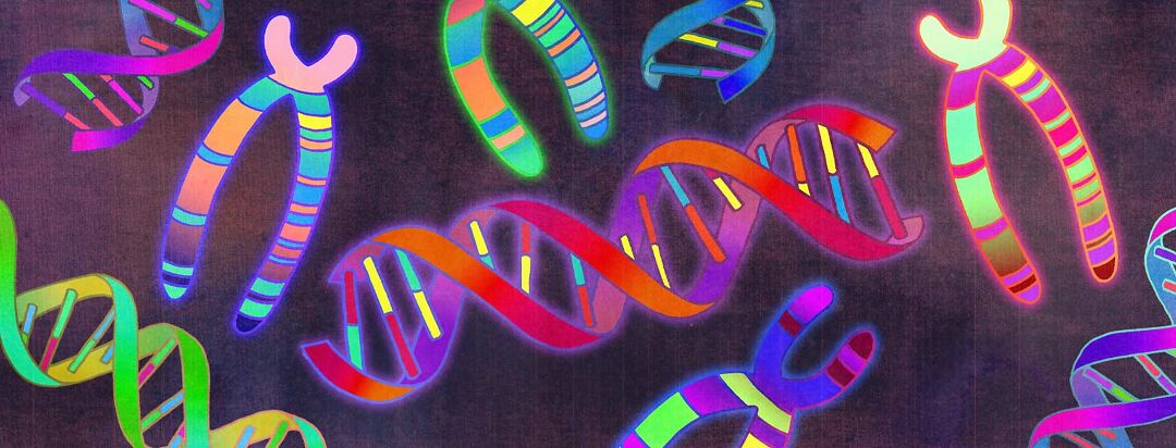 Getting in the Driver’s Seat: My Journey with FSGS and the APOL1 Gene image